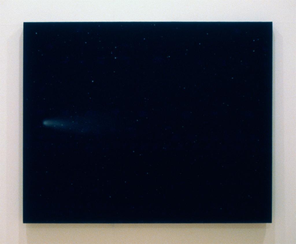 Vija Celmins - Night Sky #9 (For Felix), 1995. Oil on canvas.