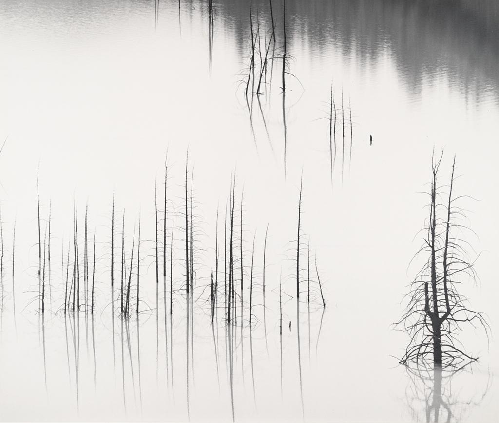 Ansel Adams - Submerged Trees, Slide Lake, Teton Area, ca. 1965. Gelatin silver print.