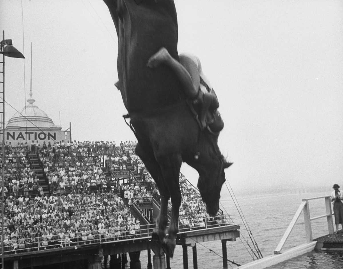 Peter Stackpole - Untitled Works (Horse Diving), 1953-1955. Gelatin silver print.